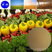 Pó de aminoácidos em pó para fertilizantes orgânicos